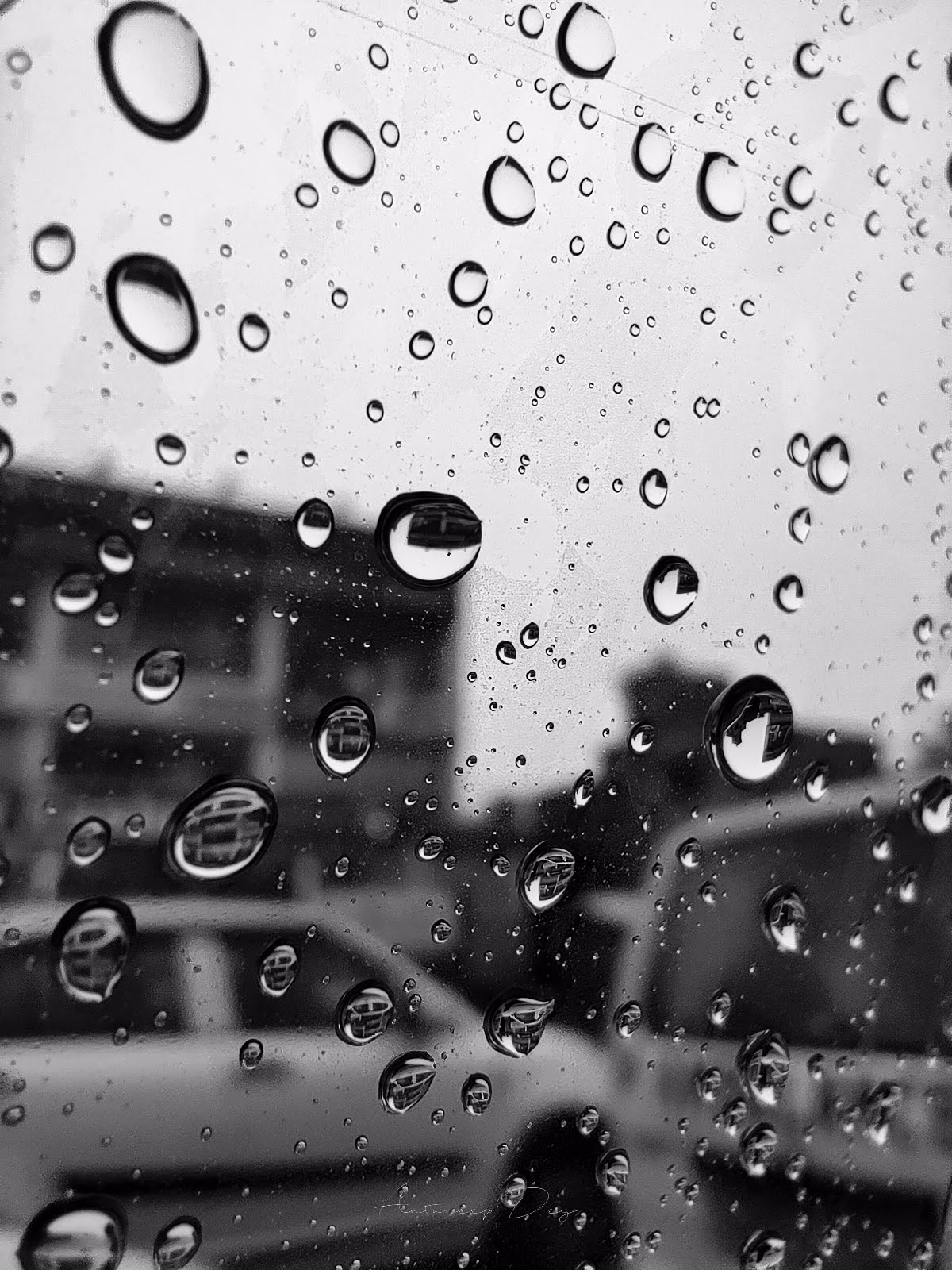 Rain Drops